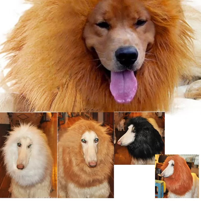 Гороскоп собака лев