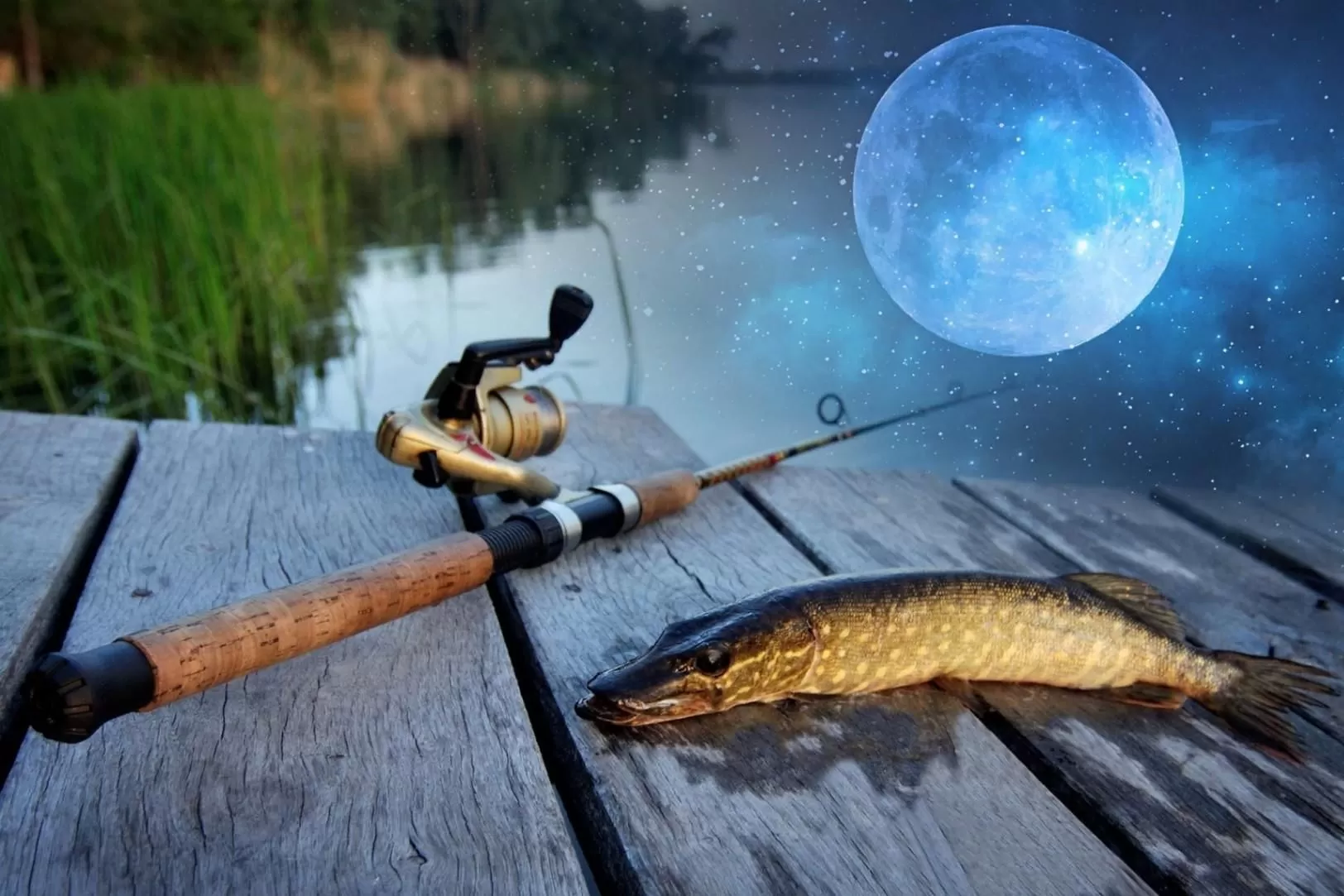 Рыбалка ловля щуки