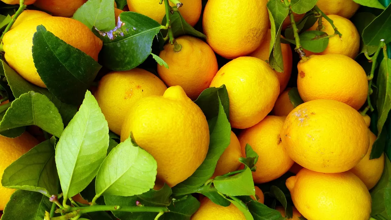 Лимон в быту