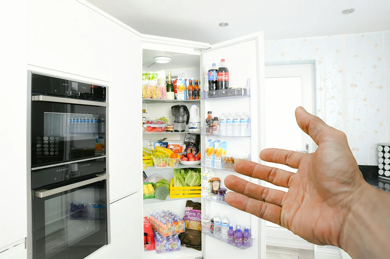 Какой выбрать холодильник для дома