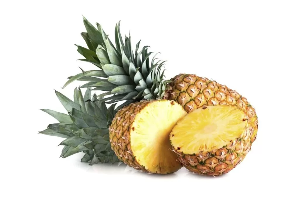 Kak vyrastit ananas doma